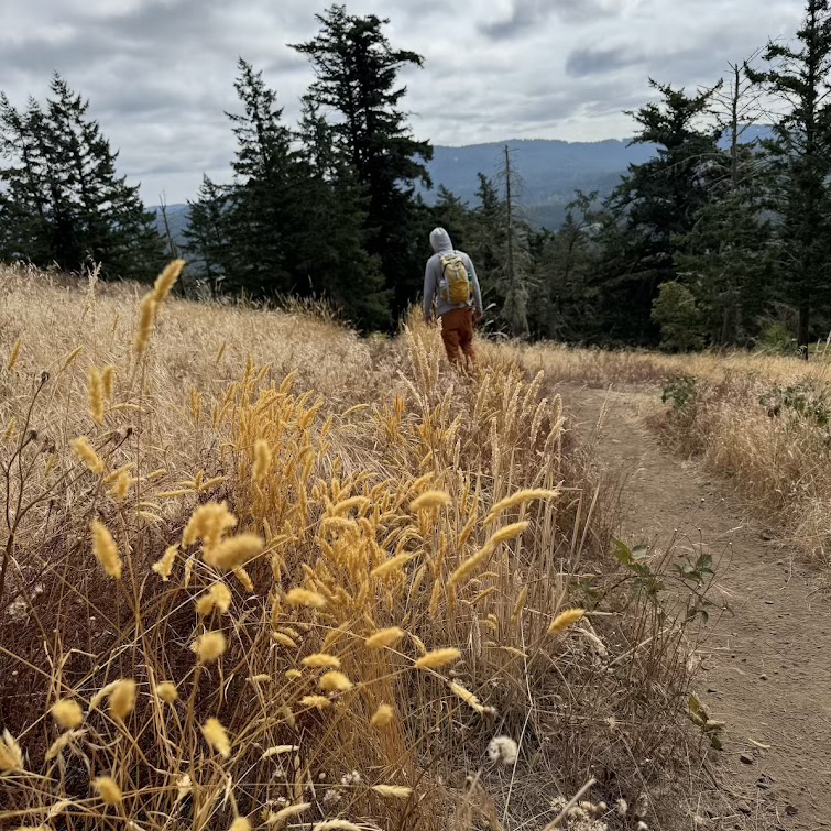 Hiking in a golden field