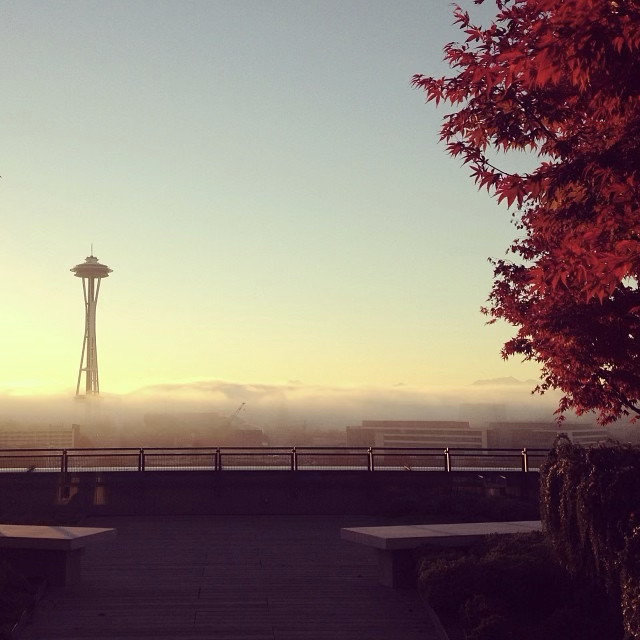 Seattle Space Needle at sunset